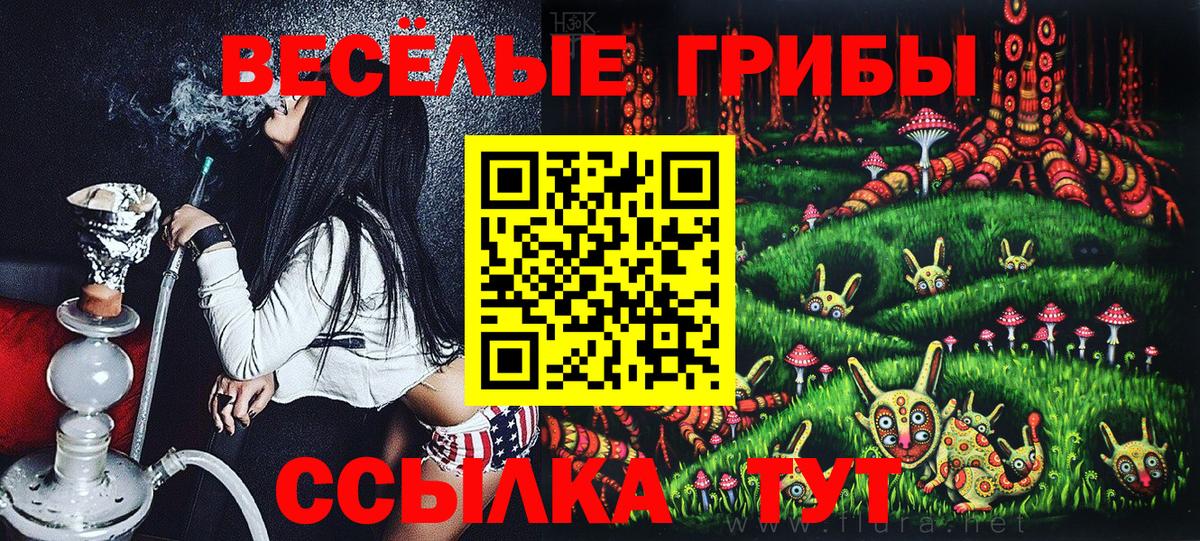 Псилоцибиновые грибы MAGIC MUSHROOMS Губкин