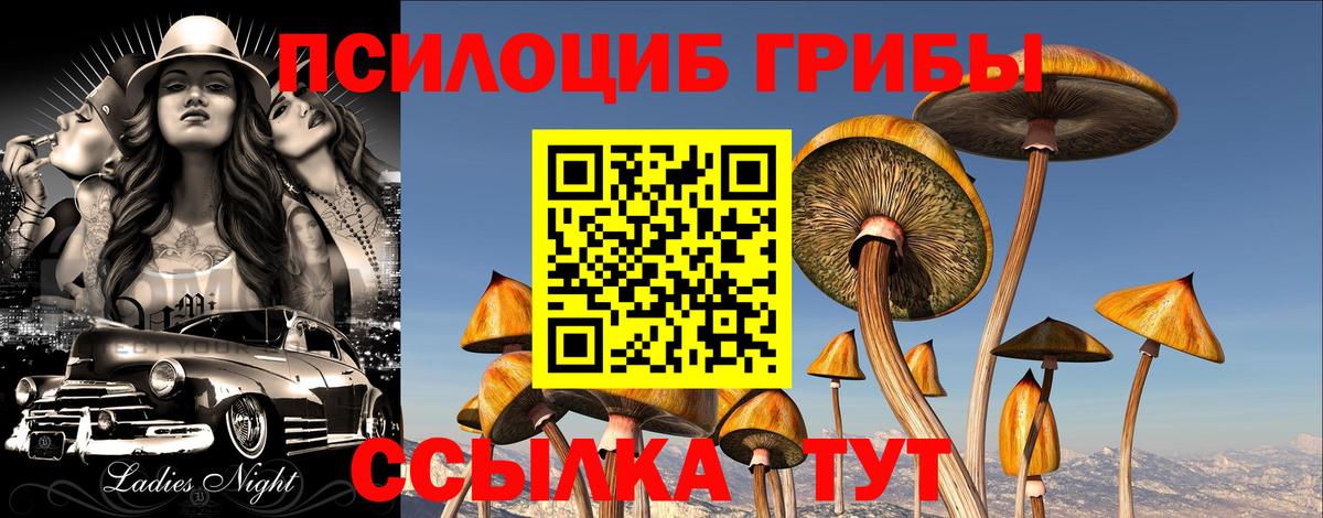 Псилоцибиновые грибы GOLDEN TEACHER  Вход с VPN  Губкин  что такое наркотик  Галлюциногенные грибы Magic Shrooms 